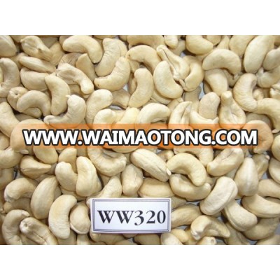 RAW CASHEW NUT/ CASHEW KERNEL CHEAP PRICE