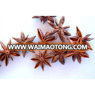 STAR ANISEED autumn 2015 New Crop for sale(Skype: hanfimex08)