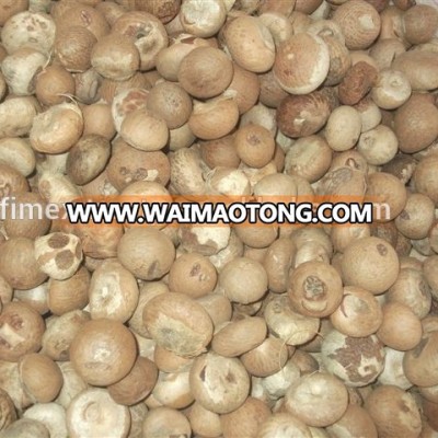 BETEL NUTS / KERNELS HIGH QUALITY BEST PRICE