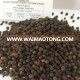 BLACK PEPPER 580GR/L HIGH QUALITY VIETNAM ORIGIN