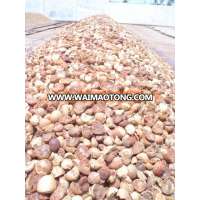 Dried Split / Whole Mature Betel Nut / Areca Nuts