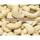 cashew nut