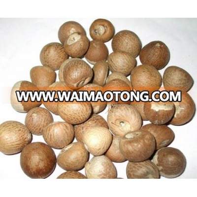 VIETNAM WHOLE DRIED BETEL NUT, DRIED SPLIT BETEL NUT, BETEL NUT FOR SALE