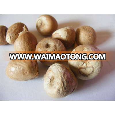 Dried Whole Betels Nuts, Split and Slice Betel Nuts 90-95% Good Cut (skype: hanfimex1)