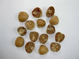 VIETNAM DRIED SPLIT BETEL NUT HIGH QUALITY 2014