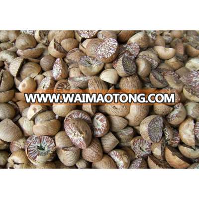 DRIED ORGANIC BETEL NUT - WHITE COLOR - BIG SALE FOR BANGLADESH