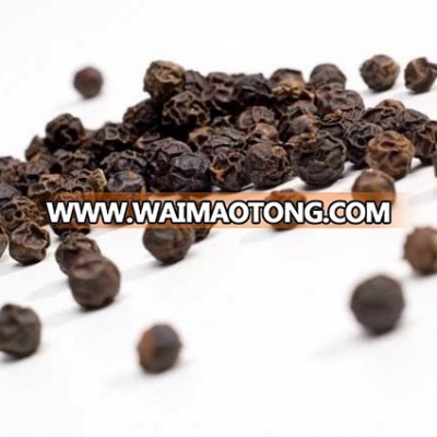 Good price wholesale black pepper 570g/l Vietnam best factory supplier