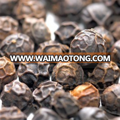 Black Pepper Spices and High Quality Vietnam factory Best supplier