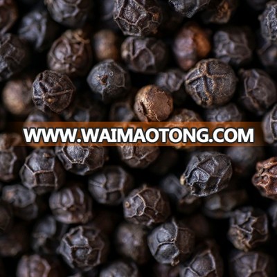 Black Pepper Fresh Spices and High Quality