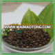 BLACK PEPPER 550 Gl FAQ/ VIETNAM BLACK PEPPER BEST PRICE