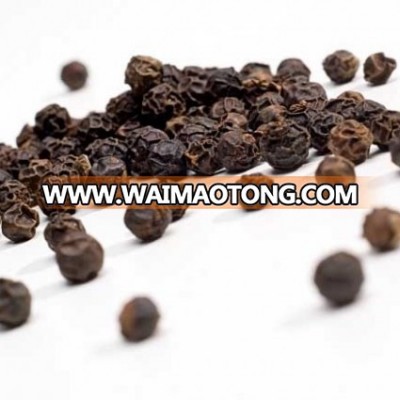 Good price Organic black pepper / vietnam black pepper