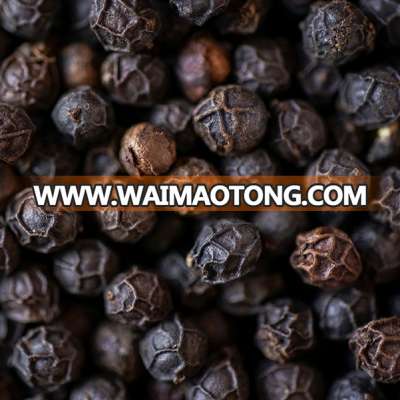 Black Pepper Fresh Spices and High Quality Factory