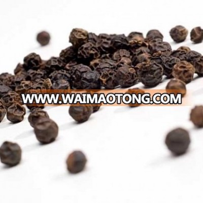 Black Pepper Fresh Spices and High Quality Vietnam factory