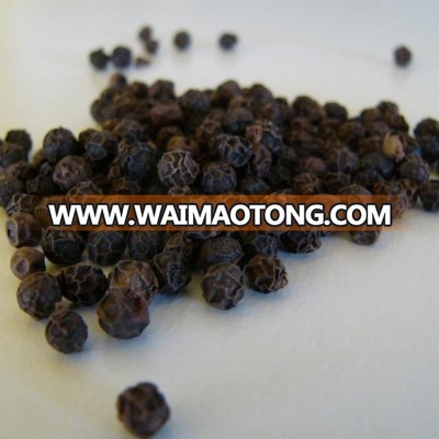 Black Pepper Vietnam Fresh Spices and High Quality