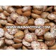 VIETNAM WHOLE BETEL NUT FOR SALE-BEST PRICE +84 938244404