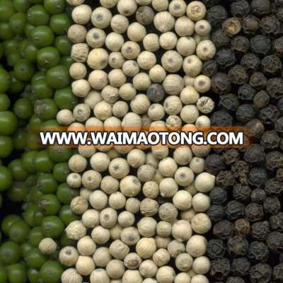 Black Pepper Fresh Spices and High Quality Best Factory