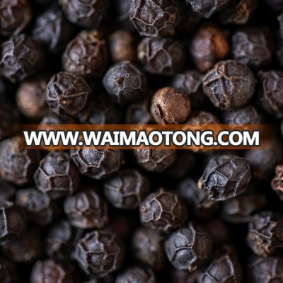 Good price Organic black pepper / vietnam black pepper price